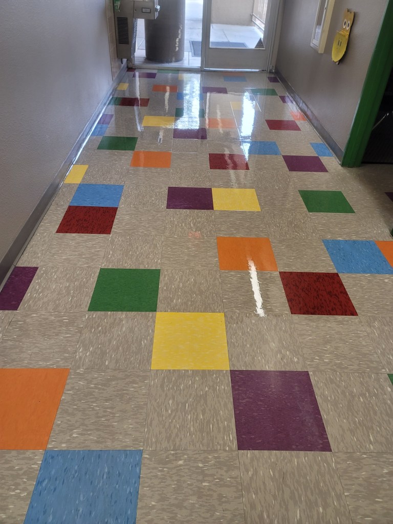 Floor Cleaning