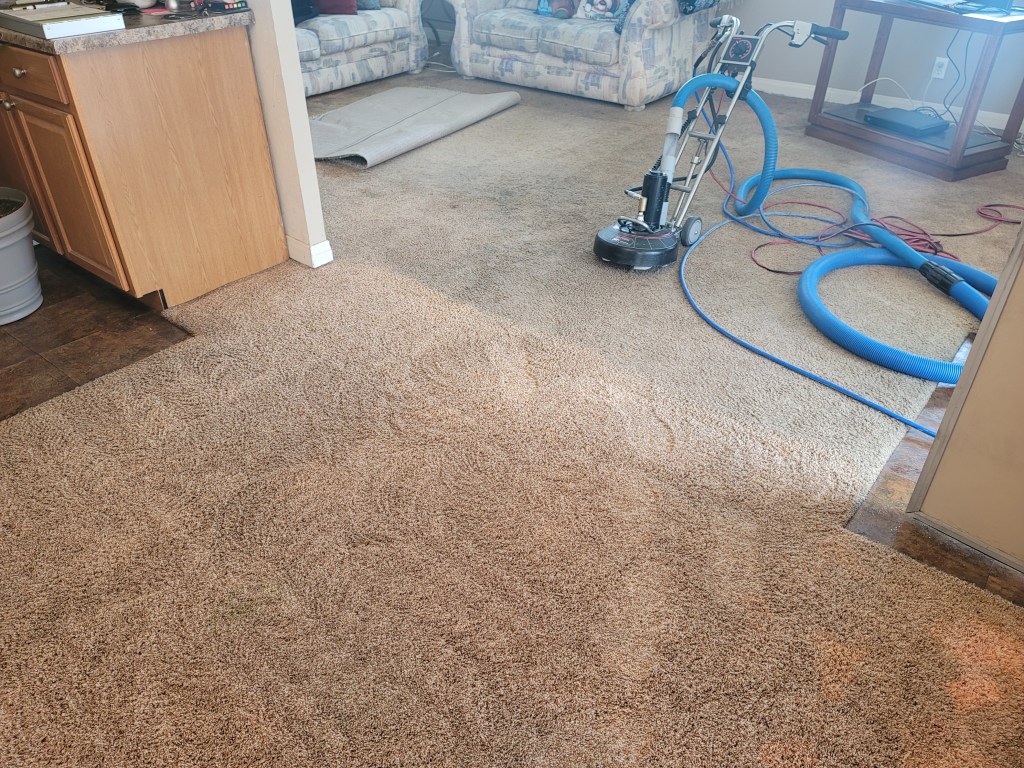Carpet Cleaning