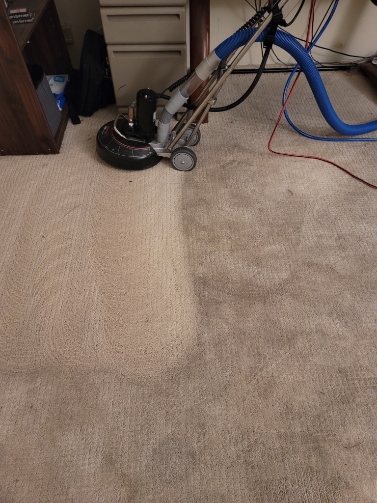 Carpet Cleaning