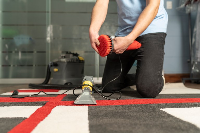 Professional Carpet Cleaning