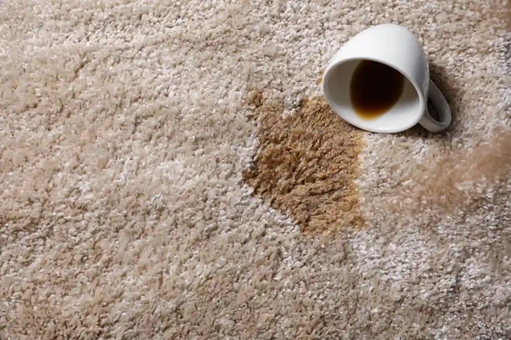 Carpet Stains