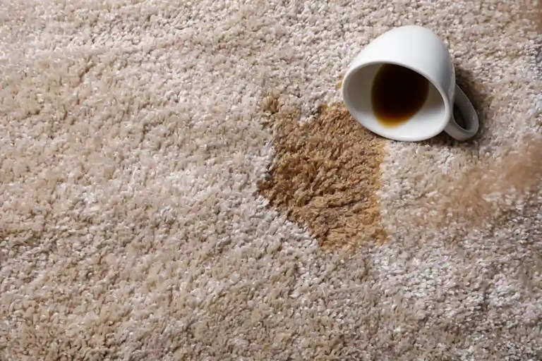 Carpet Stains